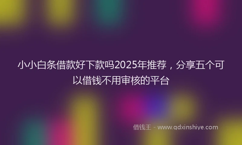 小小白条借款好下款吗2025年推荐，分享五个可以借钱不用审核的平台