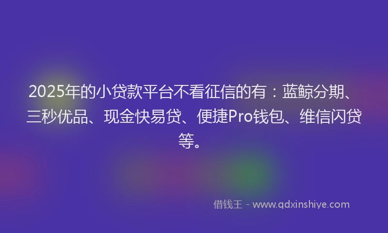 2025年的小贷款平台不看征信的有：蓝鲸分期、三秒优品、现金快易贷、便捷Pro钱包、维信闪贷等。