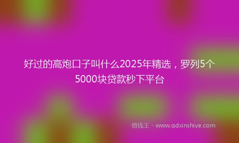 好过的高炮口子叫什么2025年精选，罗列5个5000块贷款秒下平台