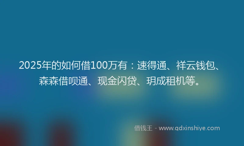 2025年的如何借100万有：速得通、祥云钱包、森森借呗通、现金闪贷、玥成租机等。