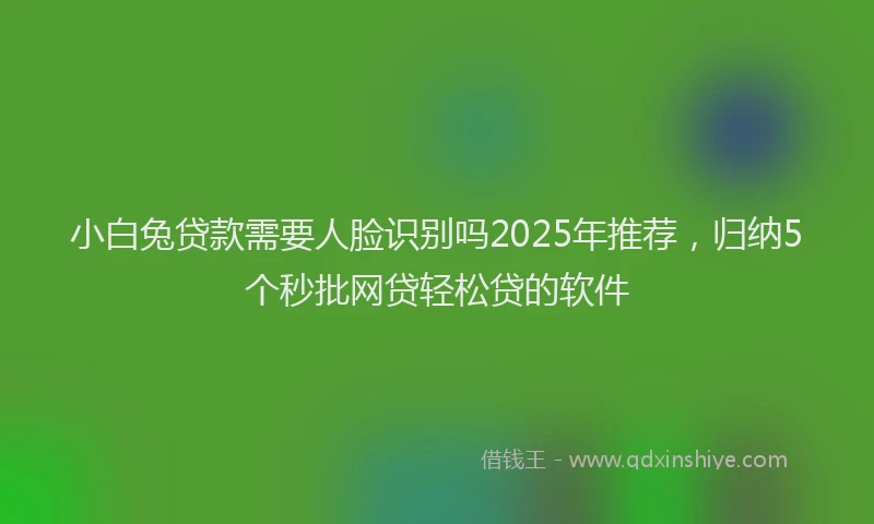 小白兔贷款需要人脸识别吗2025年推荐，归纳5个秒批网贷轻松贷的软件