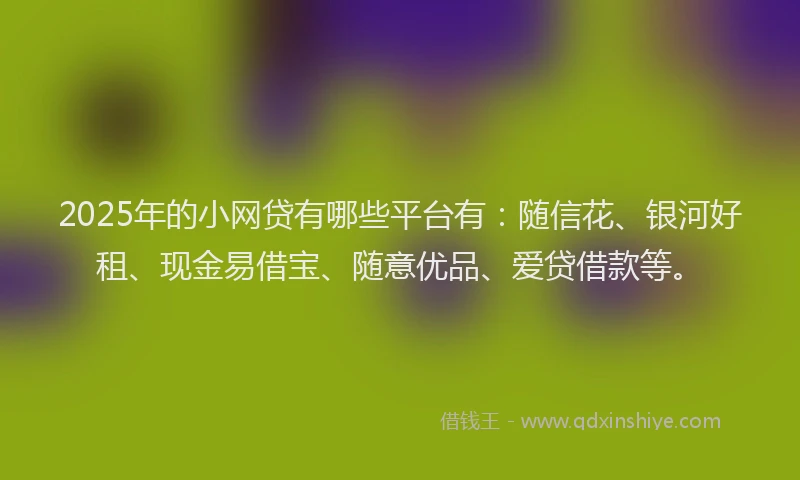 2025年的小网贷有哪些平台有：随信花、银河好租、现金易借宝、随意优品、爱贷借款等。