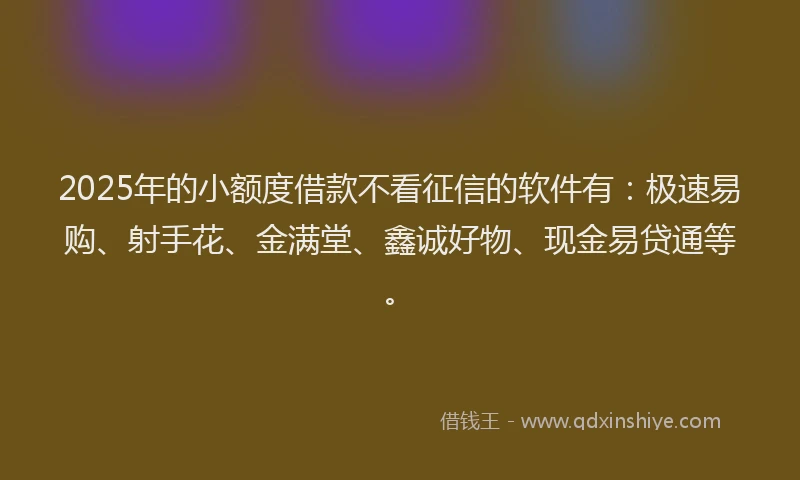 2025年的小额度借款不看征信的软件有：极速易购、射手花、金满堂、鑫诚好物、现金易贷通等。