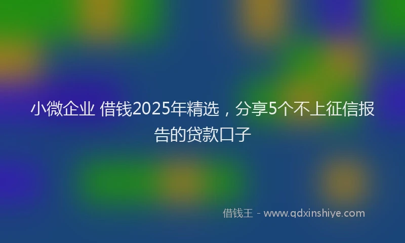 小微企业 借钱2025年精选，分享5个不上征信报告的贷款口子