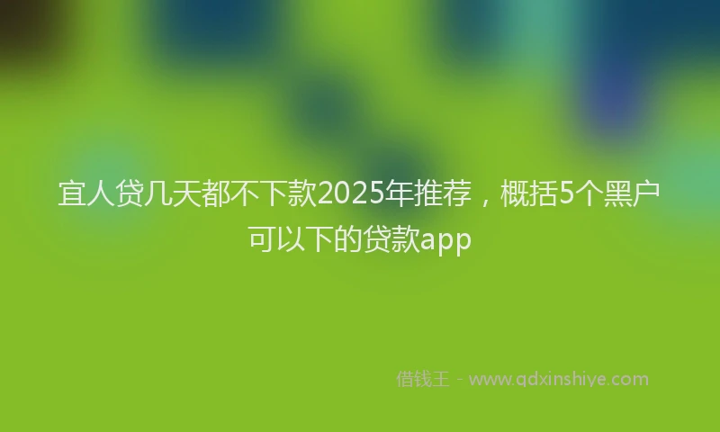 宜人贷几天都不下款2025年推荐，概括5个黑户可以下的贷款app