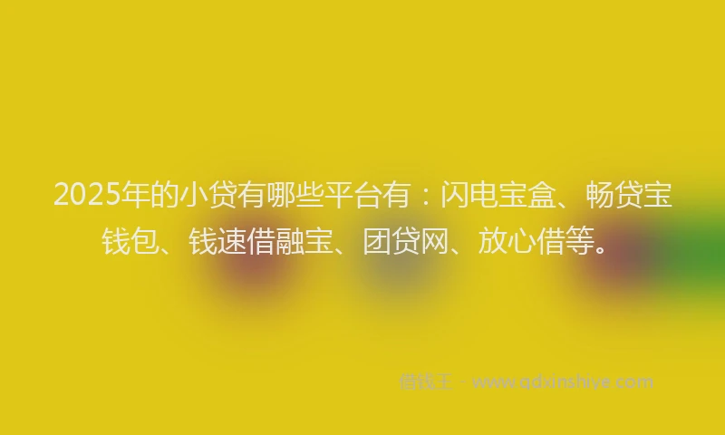 2025年的小贷有哪些平台有：闪电宝盒、畅贷宝钱包、钱速借融宝、团贷网、放心借等。