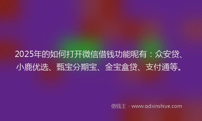 2025年的如何打开微信借钱功能呢有：众安贷、小鹿优选、甄宝分期宝、金宝盒贷、支付通等。