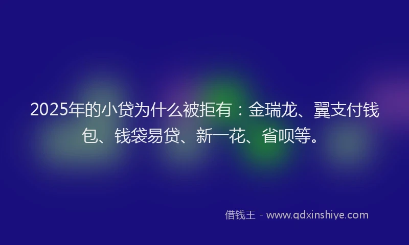 2025年的小贷为什么被拒有：金瑞龙、翼支付钱包、钱袋易贷、新一花、省呗等。