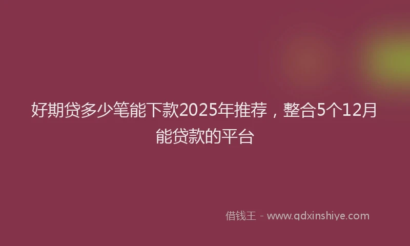 好期贷多少笔能下款2025年推荐，整合5个12月能贷款的平台