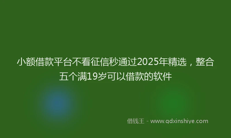 小额借款平台不看征信秒通过2025年精选，整合五个满19岁可以借款的软件