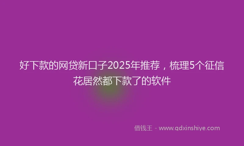 好下款的网贷新口子2025年推荐，梳理5个征信花居然都下款了的软件