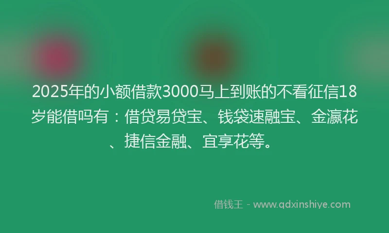 2025年的小额借款3000马上到账的不看征信18岁能借吗有：借贷易贷宝、钱袋速融宝、金瀛花、捷信金融、宜享花等。