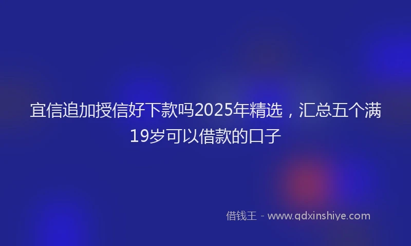宜信追加授信好下款吗2025年精选，汇总五个满19岁可以借款的口子