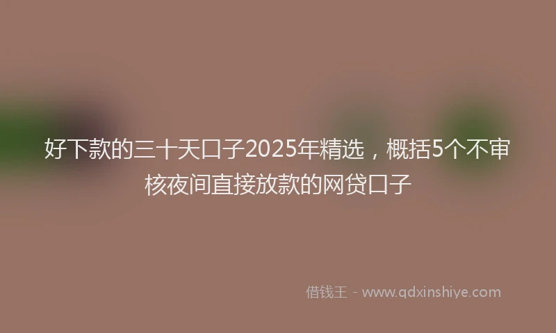 好下款的三十天口子2025年精选，概括5个不审核夜间直接放款的网贷口子