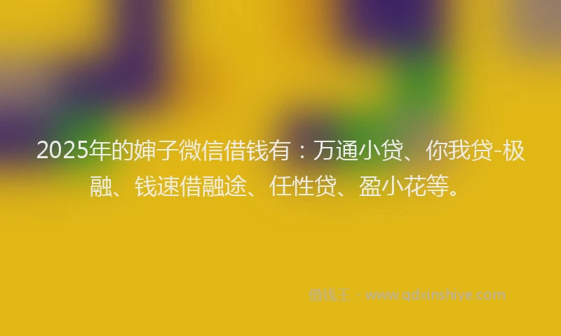 2025年的婶子微信借钱有：万通小贷、你我贷-极融、钱速借融途、任性贷、盈小花等。