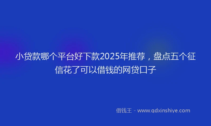 小贷款哪个平台好下款2025年推荐，盘点五个征信花了可以借钱的网贷口子