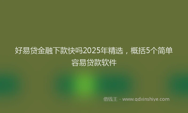 好易贷金融下款快吗2025年精选，概括5个简单容易贷款软件