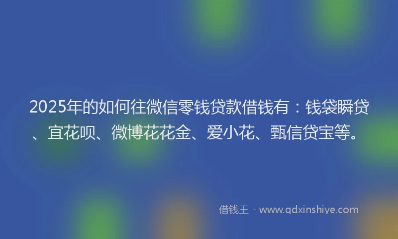 2025年的如何往微信零钱贷款借钱有：钱袋瞬贷、宜花呗、微博花花金、爱小花、甄信贷宝等。