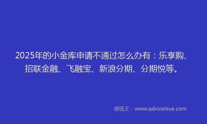 2025年的小金库申请不通过怎么办有：乐享购、招联金融、飞融宝、新浪分期、分期悦等。