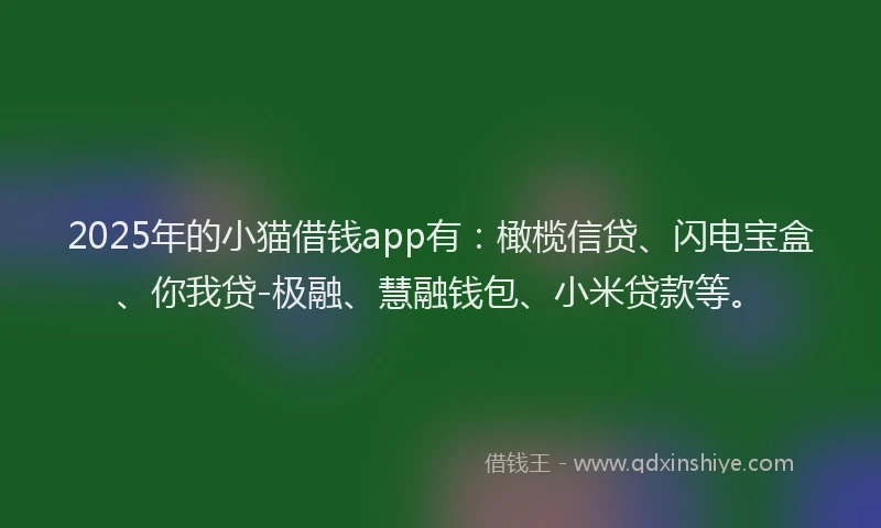 2025年的小猫借钱app有：橄榄信贷、闪电宝盒、你我贷-极融、慧融钱包、小米贷款等。