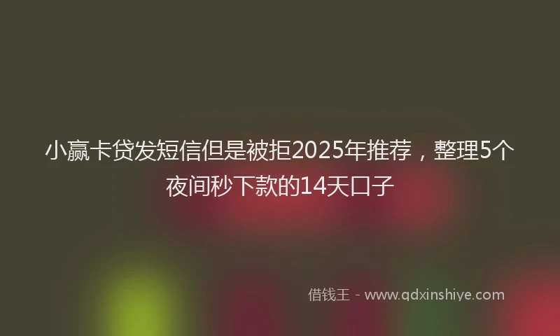 小赢卡贷发短信但是被拒2025年推荐，整理5个夜间秒下款的14天口子