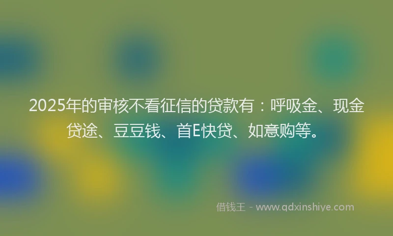 2025年的审核不看征信的贷款有：呼吸金、现金贷途、豆豆钱、首E快贷、如意购等。