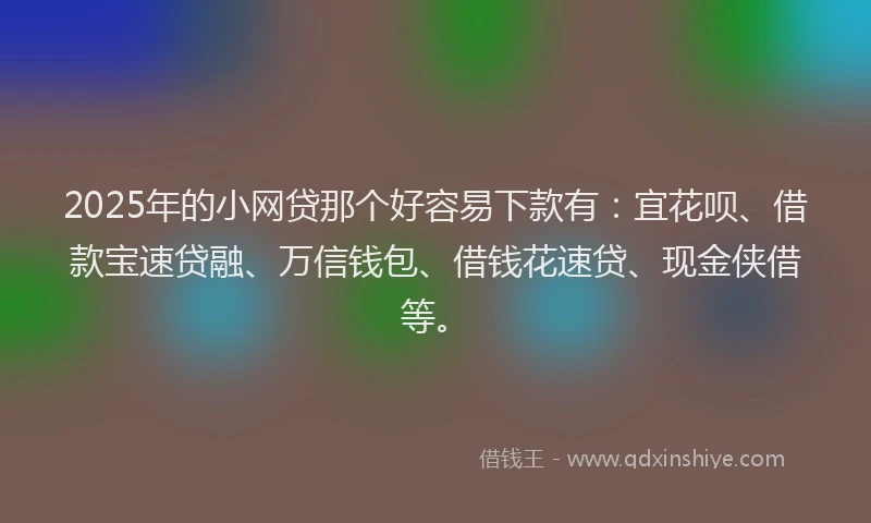 2025年的小网贷那个好容易下款有：宜花呗、借款宝速贷融、万信钱包、借钱花速贷、现金侠借等。