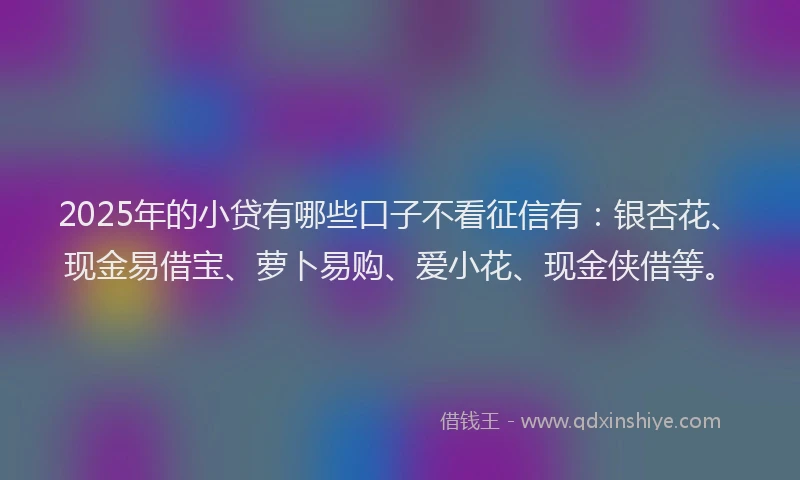 2025年的小贷有哪些口子不看征信有：银杏花、现金易借宝、萝卜易购、爱小花、现金侠借等。