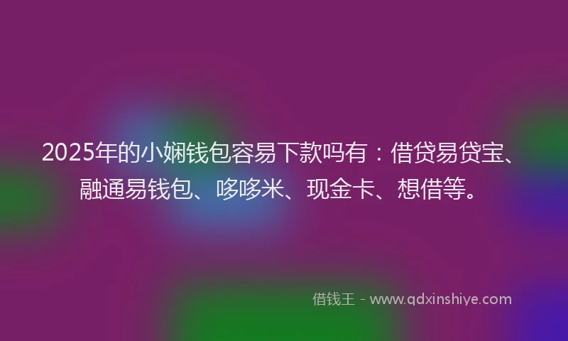 2025年的小娴钱包容易下款吗有：借贷易贷宝、融通易钱包、哆哆米、现金卡、想借等。