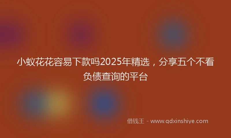 小蚁花花容易下款吗2025年精选，分享五个不看负债查询的平台