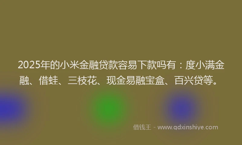 2025年的小米金融贷款容易下款吗有：度小满金融、借蛙、三枝花、现金易融宝盒、百兴贷等。