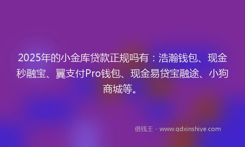 2025年的小金库贷款正规吗有：浩瀚钱包、现金秒融宝、翼支付Pro钱包、现金易贷宝融途、小狗商城等。