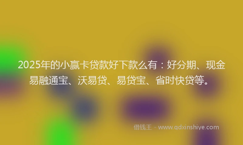 2025年的小赢卡贷款好下款么有：好分期、现金易融通宝、沃易贷、易贷宝、省时快贷等。