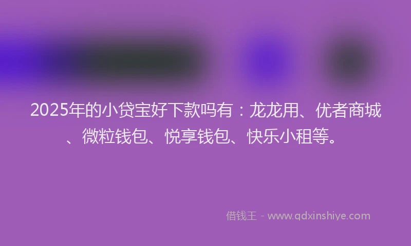 2025年的小贷宝好下款吗有：龙龙用、优者商城、微粒钱包、悦享钱包、快乐小租等。