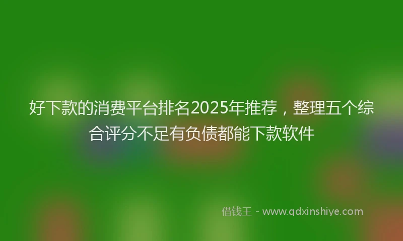 好下款的消费平台排名2025年推荐，整理五个综合评分不足有负债都能下款软件
