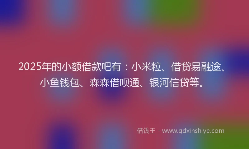 2025年的小额借款吧有：小米粒、借贷易融途、小鱼钱包、森森借呗通、银河信贷等。