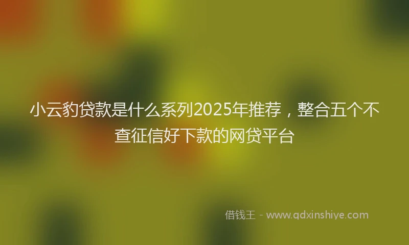 小云豹贷款是什么系列2025年推荐，整合五个不查征信好下款的网贷平台