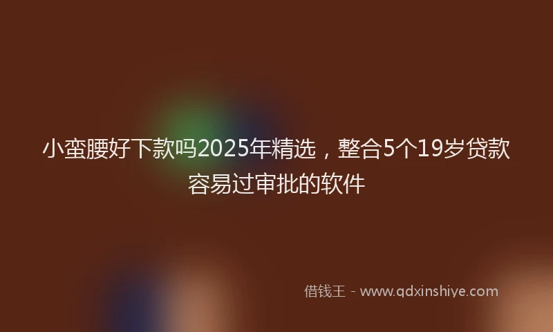 小蛮腰好下款吗2025年精选，整合5个19岁贷款容易过审批的软件