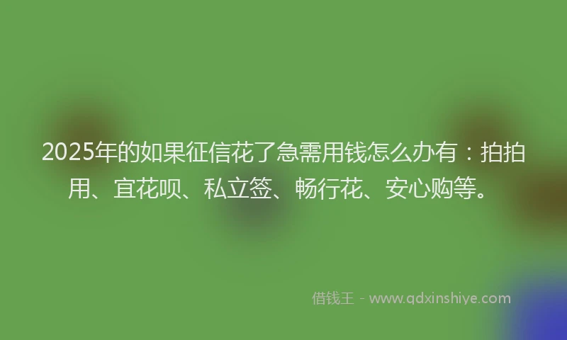 2025年的如果征信花了急需用钱怎么办有：拍拍用、宜花呗、私立签、畅行花、安心购等。