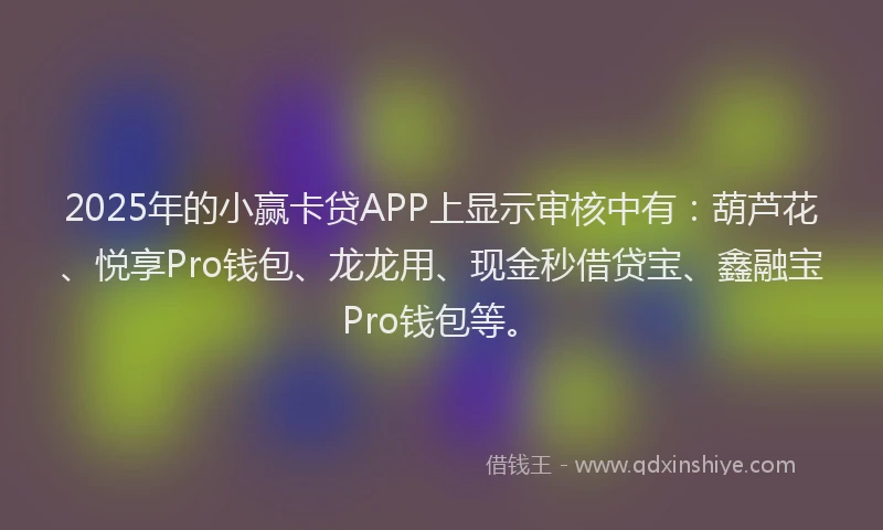 2025年的小赢卡贷APP上显示审核中有：葫芦花、悦享Pro钱包、龙龙用、现金秒借贷宝、鑫融宝Pro钱包等。