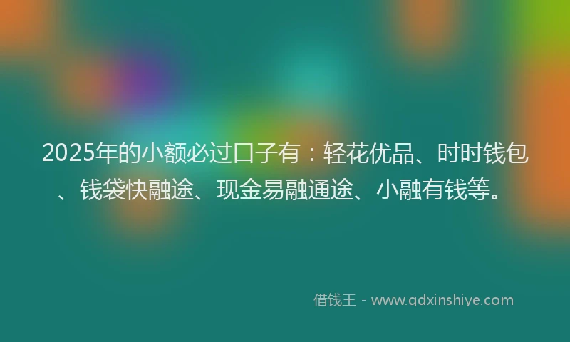 2025年的小额必过口子有：轻花优品、时时钱包、钱袋快融途、现金易融通途、小融有钱等。