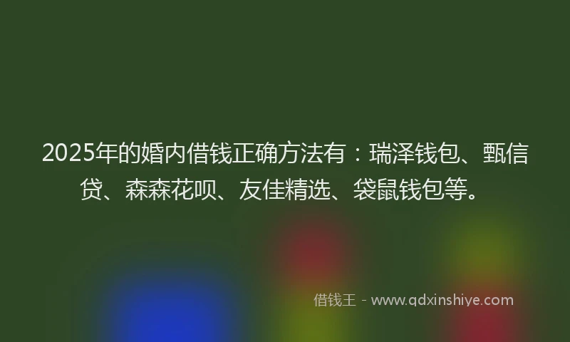 2025年的婚内借钱正确方法有：瑞泽钱包、甄信贷、森森花呗、友佳精选、袋鼠钱包等。