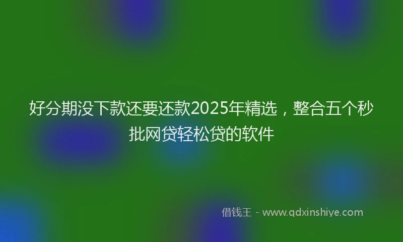 好分期没下款还要还款2025年精选，整合五个秒批网贷轻松贷的软件