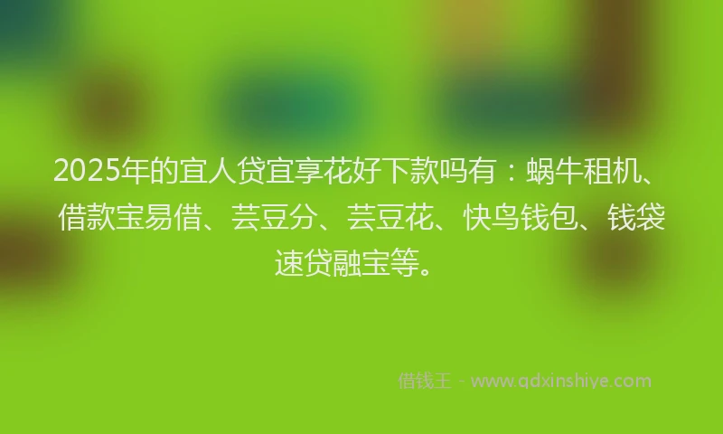 2025年的宜人贷宜享花好下款吗有：蜗牛租机、借款宝易借、芸豆分、芸豆花、快鸟钱包、钱袋速贷融宝等。