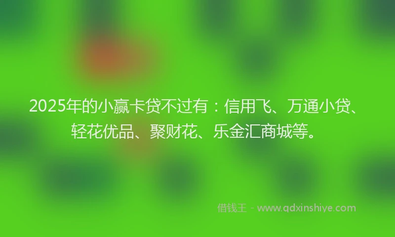 2025年的小赢卡贷不过有：信用飞、万通小贷、轻花优品、聚财花、乐金汇商城等。