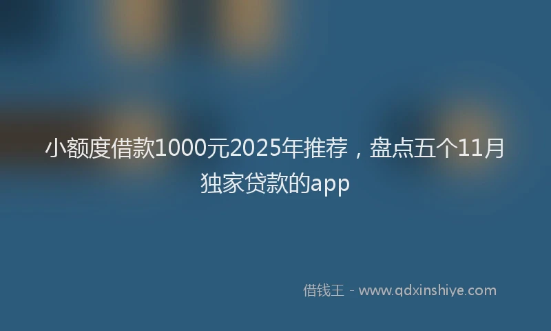 小额度借款1000元2025年推荐，盘点五个11月独家贷款的app