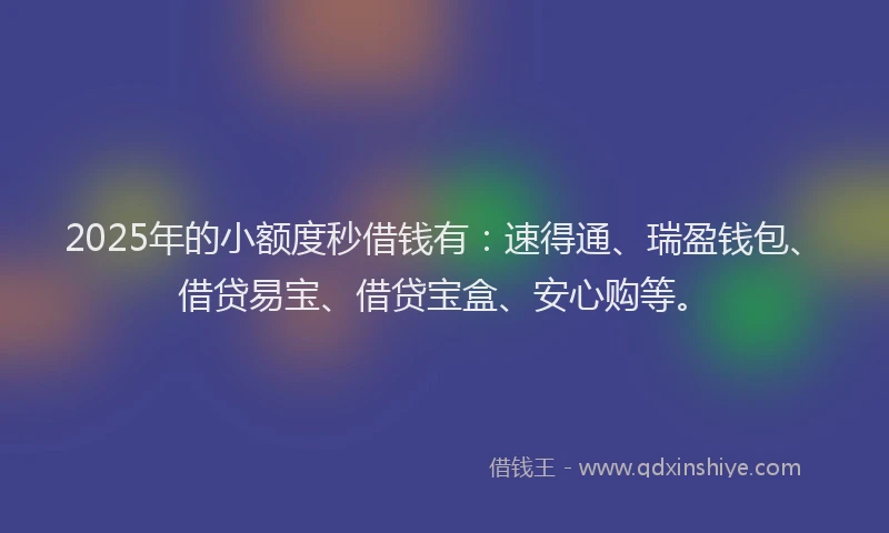 2025年的小额度秒借钱有：速得通、瑞盈钱包、借贷易宝、借贷宝盒、安心购等。