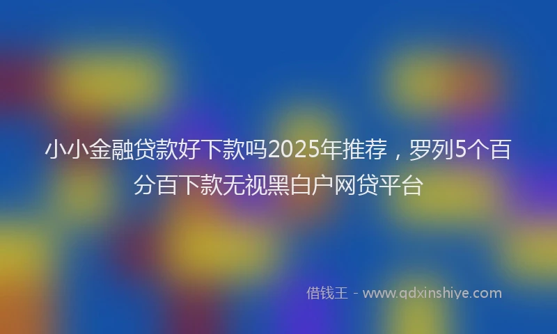 小小金融贷款好下款吗2025年推荐,罗列5个百分百下款无视黑白户网贷平台