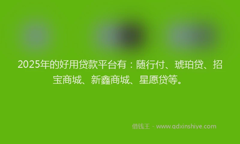 2025年的好用贷款平台有：随行付、琥珀贷、招宝商城、新鑫商城、星愿贷等。