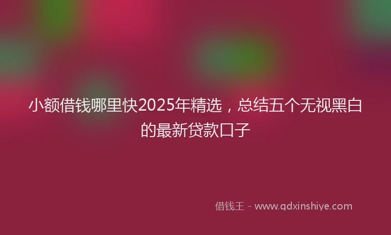 小额借钱哪里快2025年精选，总结五个无视黑白的最新贷款口子